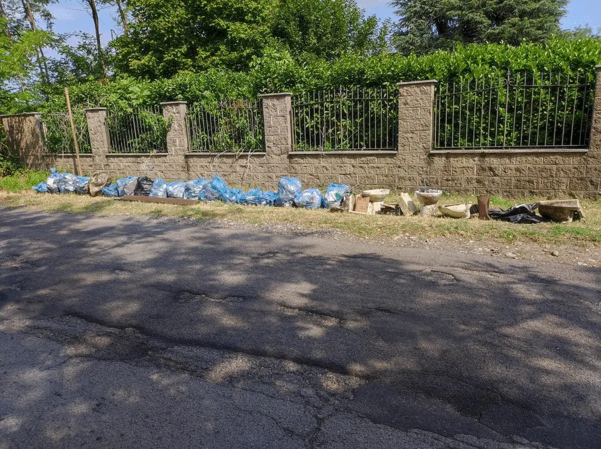 Immagine della giornata