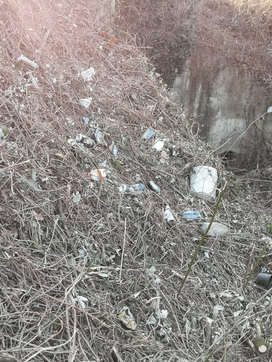Immagine della giornata