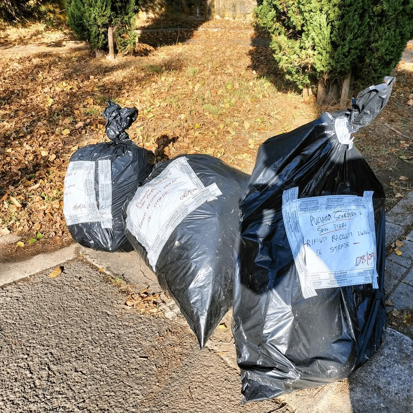 Immagine della giornata