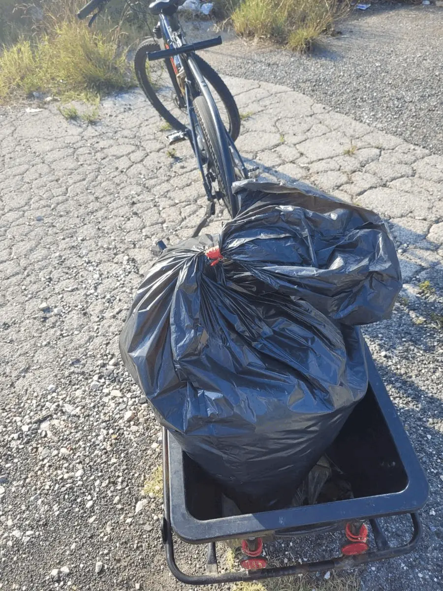 Immagine della giornata