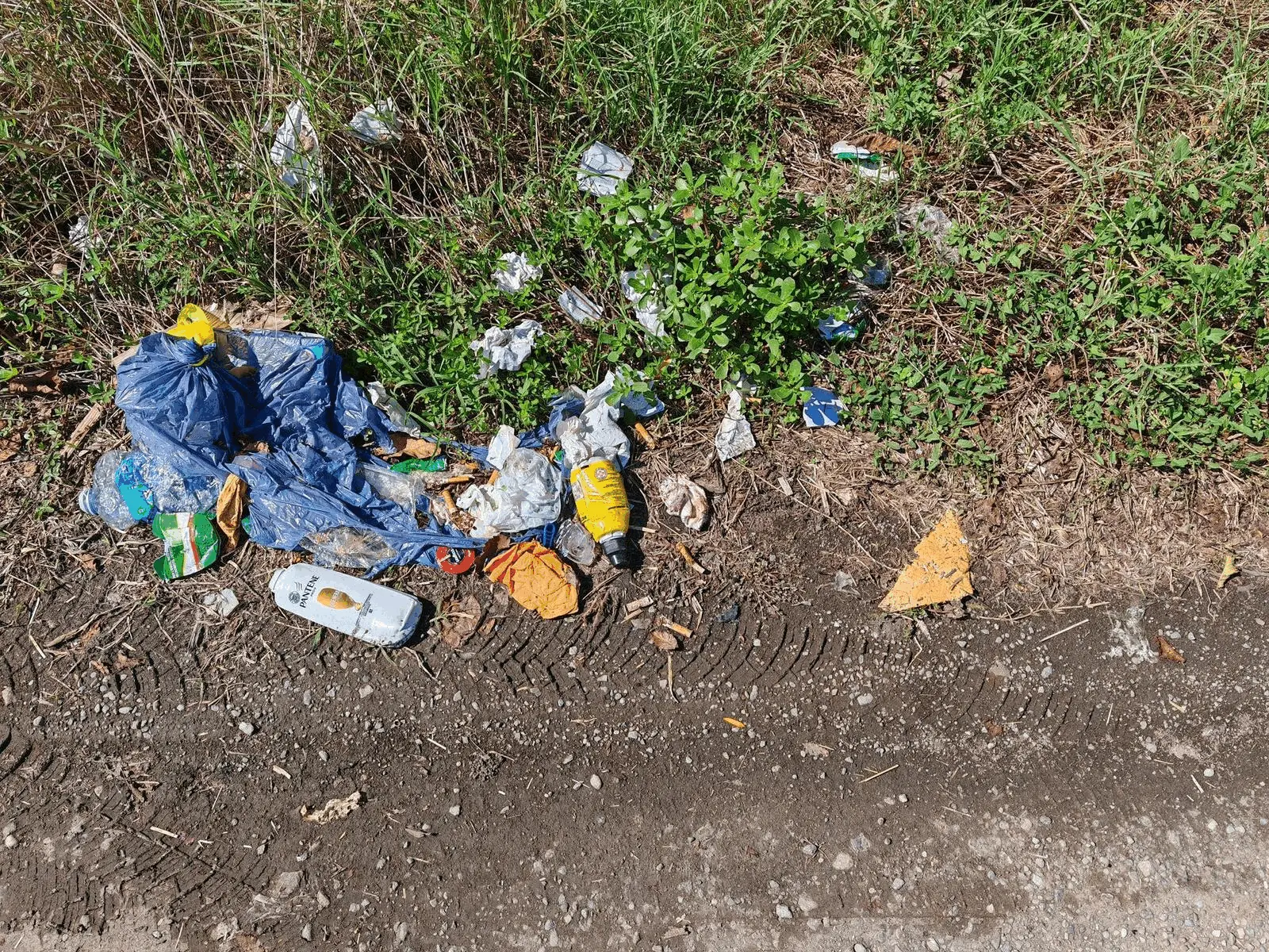 Immagine della giornata
