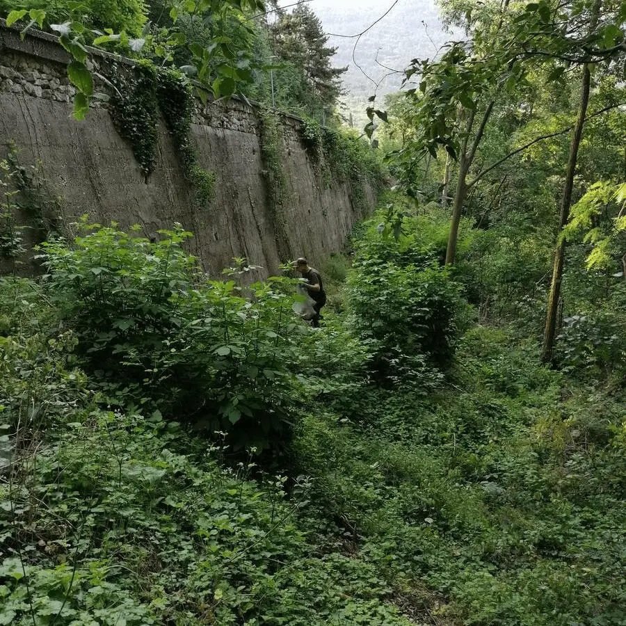 Immagine della giornata