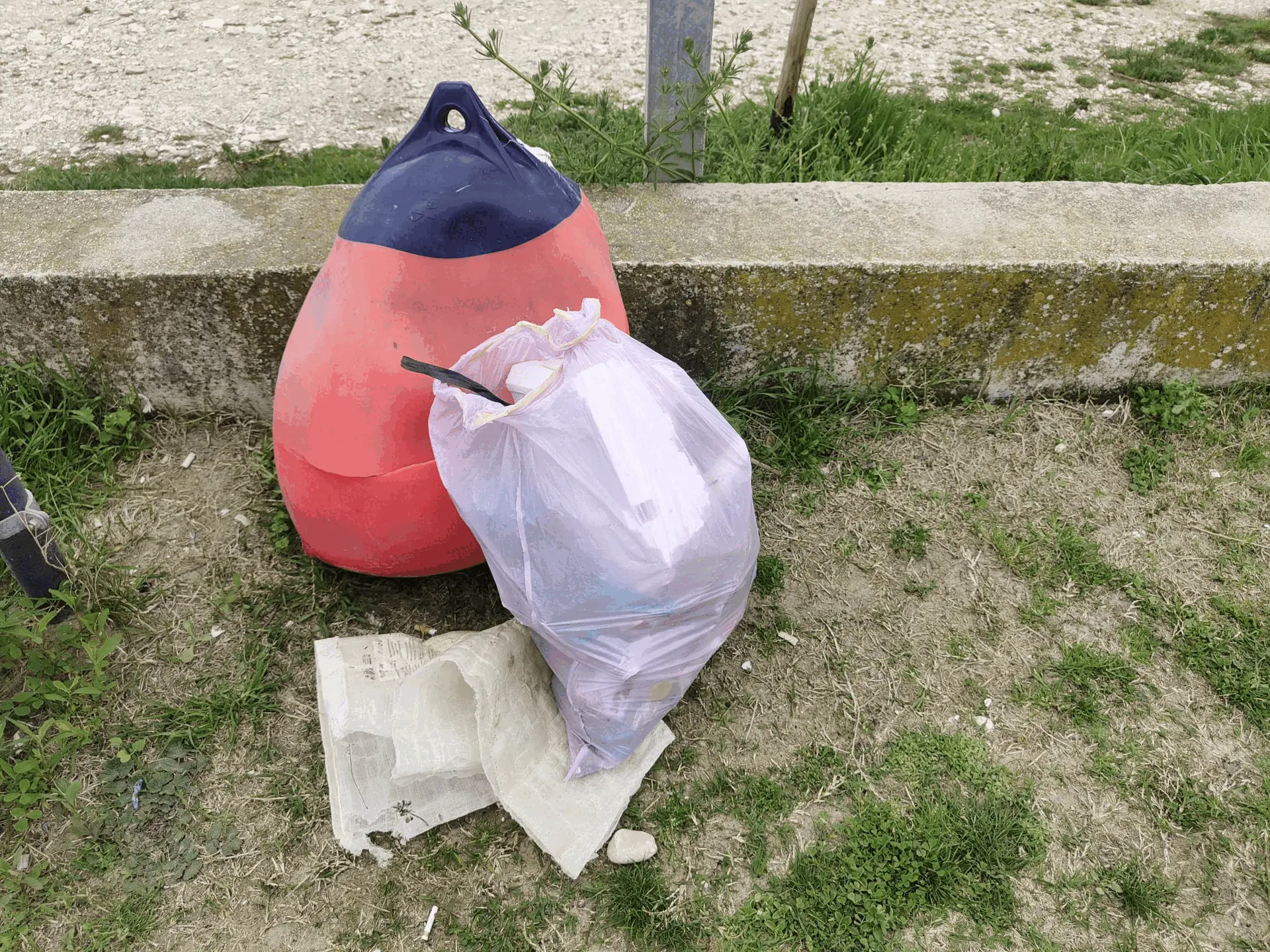 Immagine della giornata