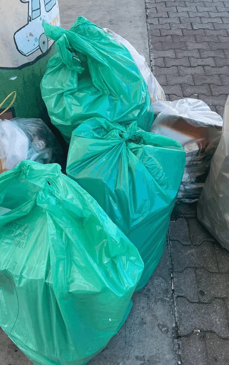 Immagine della giornata