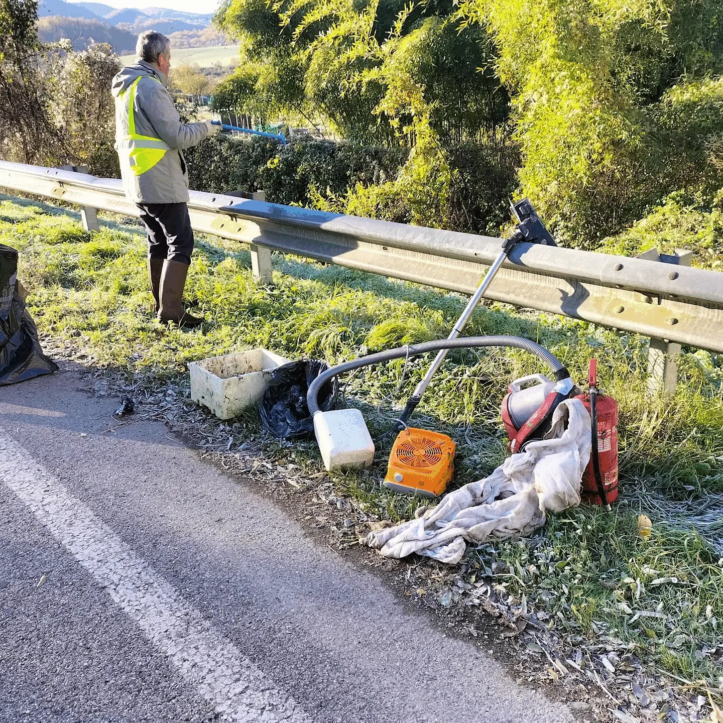 Immagine della giornata