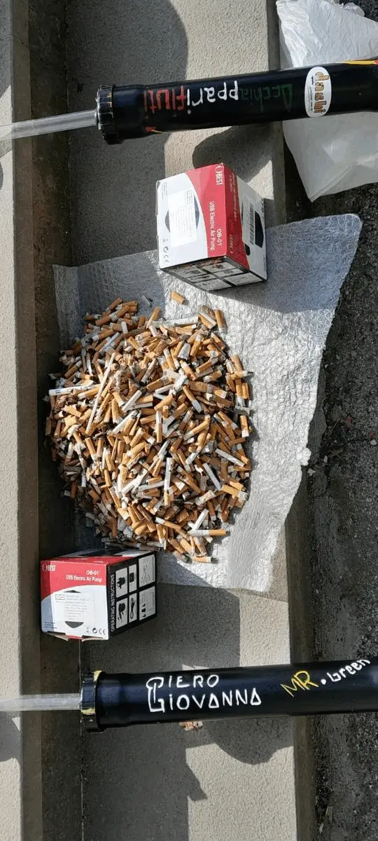 Immagine della giornata