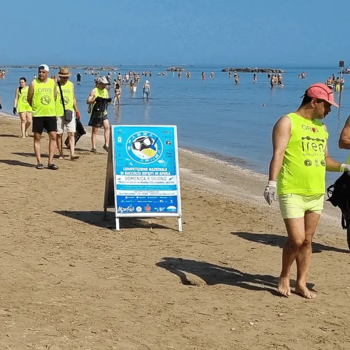 Immagine della giornata