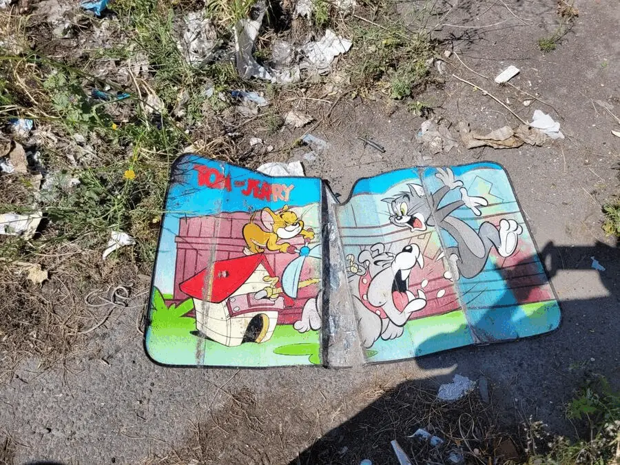 Immagine della giornata