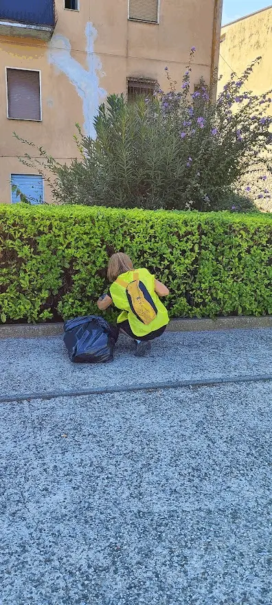 Immagine della giornata