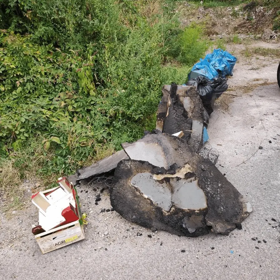 Immagine della giornata