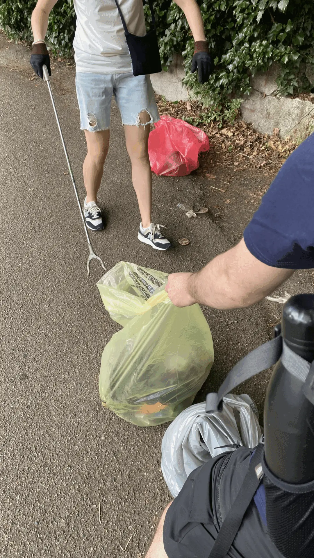 Immagine della giornata