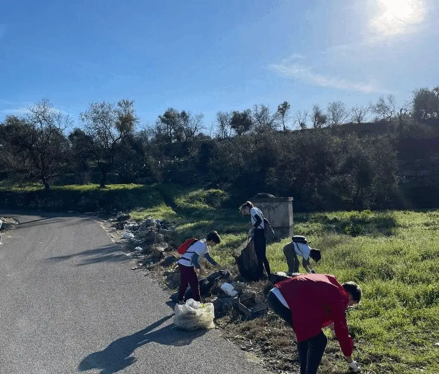 Immagine della giornata