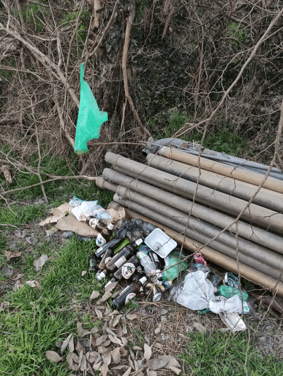 Immagine della giornata