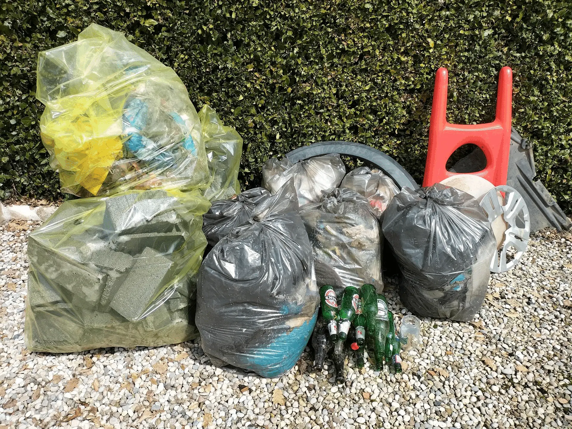 Immagine della giornata