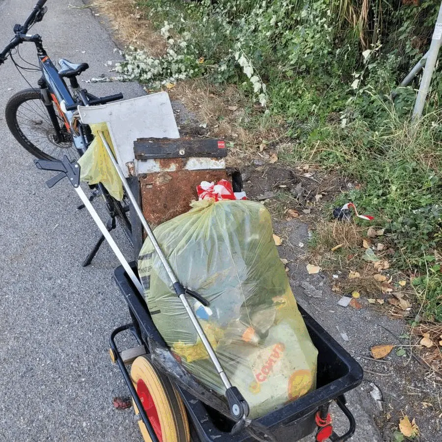 Immagine della giornata