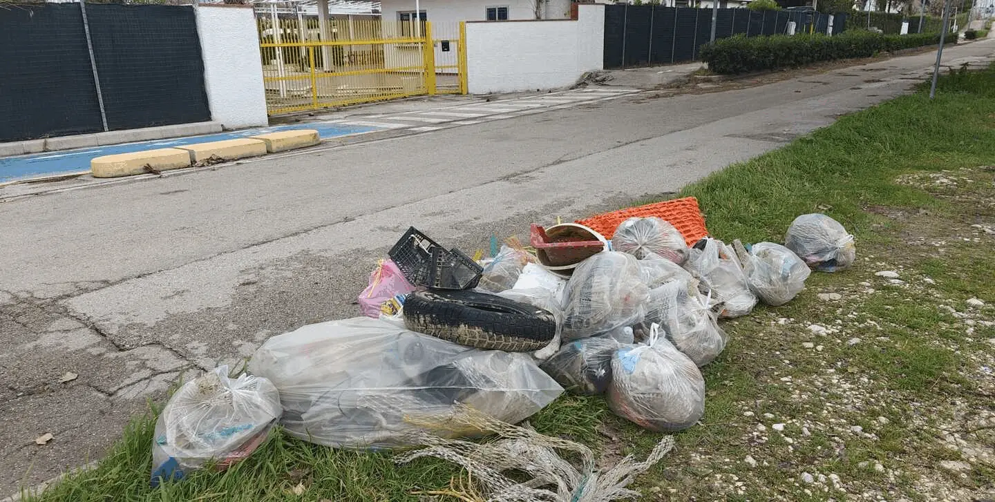 Immagine della giornata