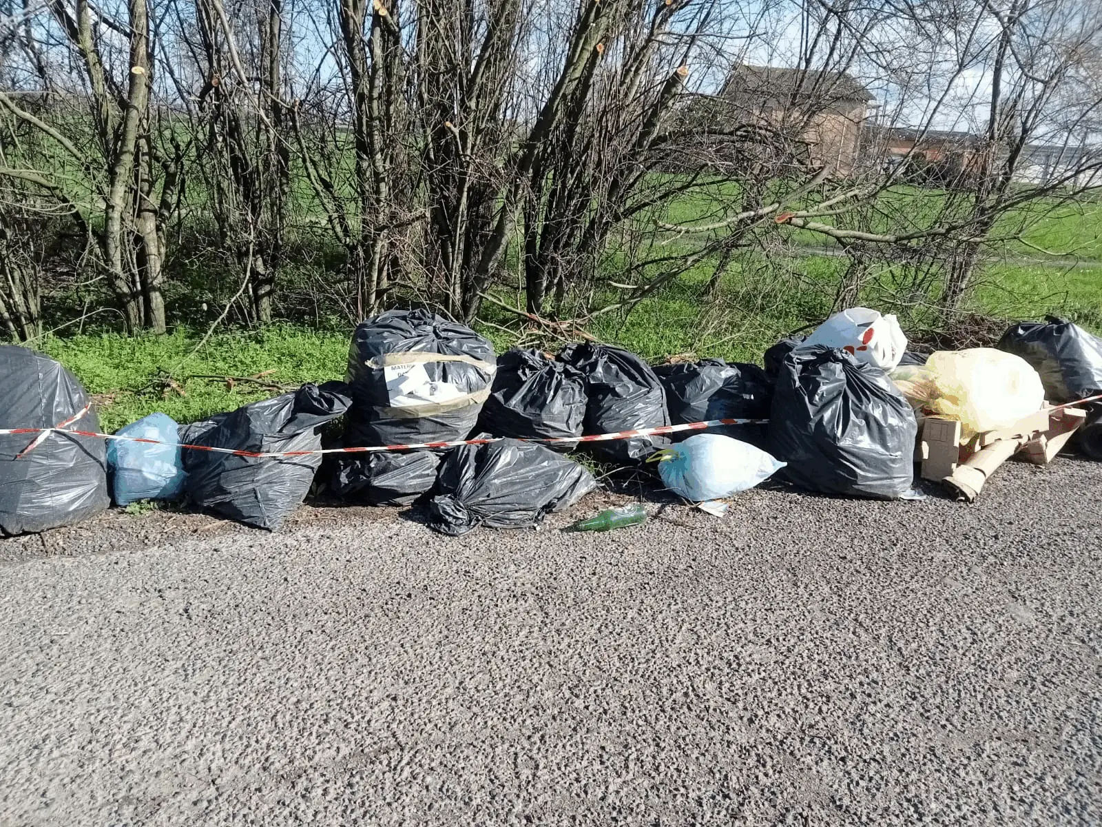 Immagine della giornata