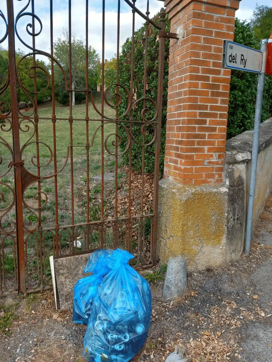 Immagine della giornata