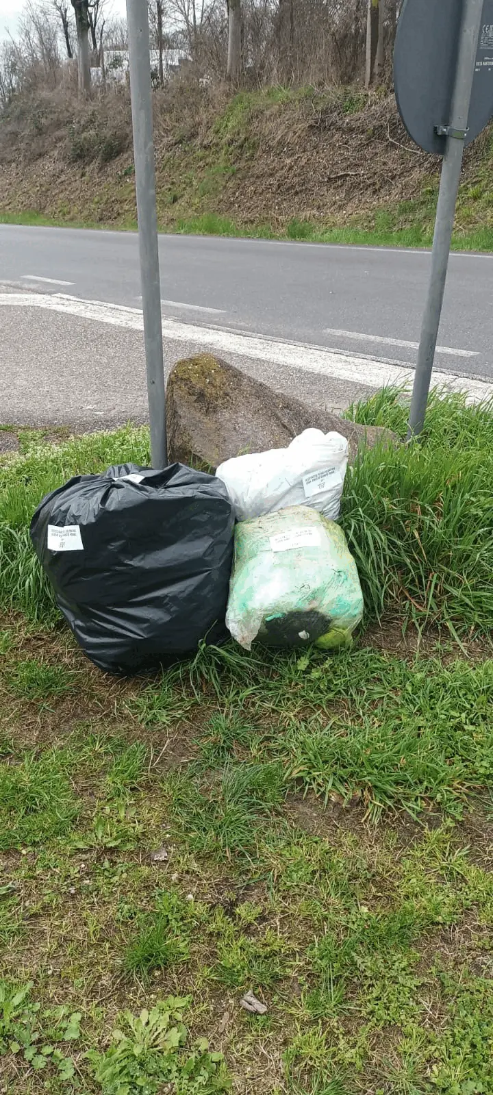 Immagine della giornata