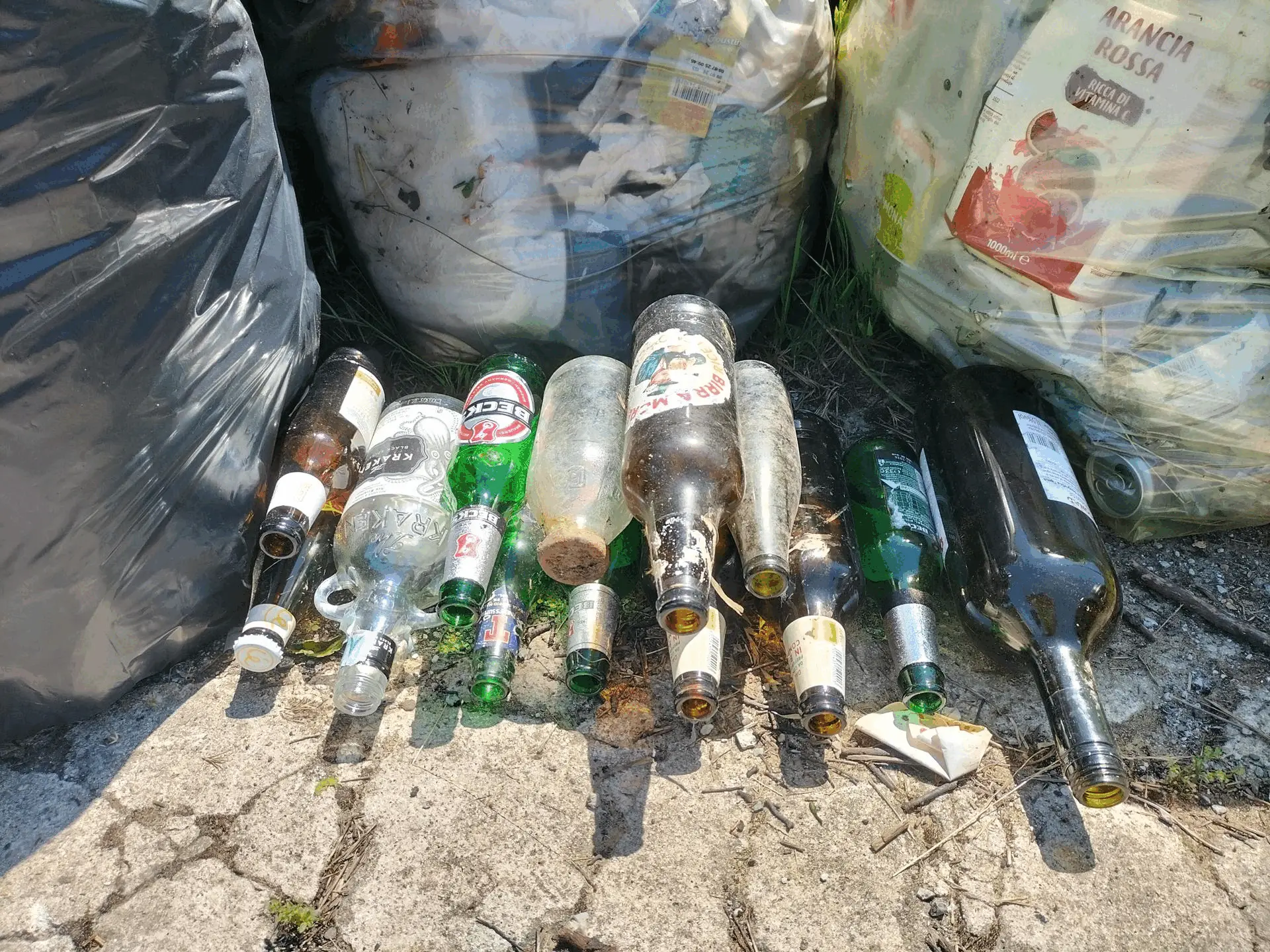 Immagine della giornata