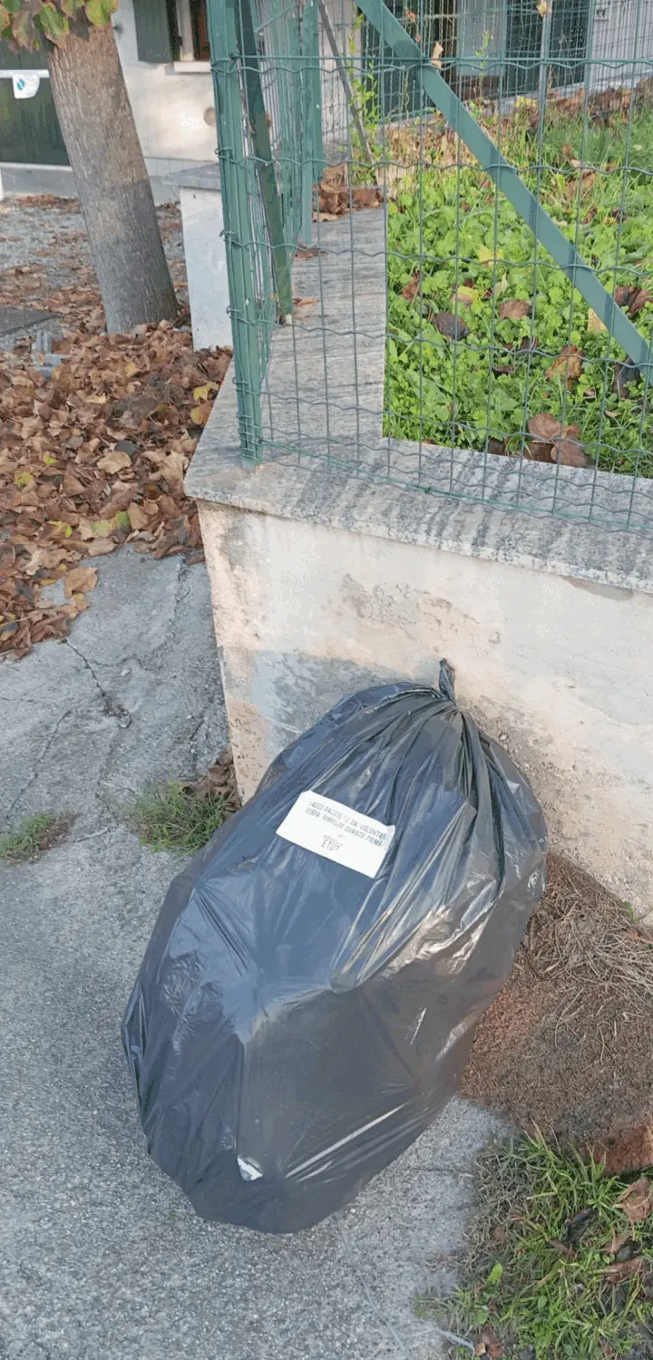 Immagine della giornata