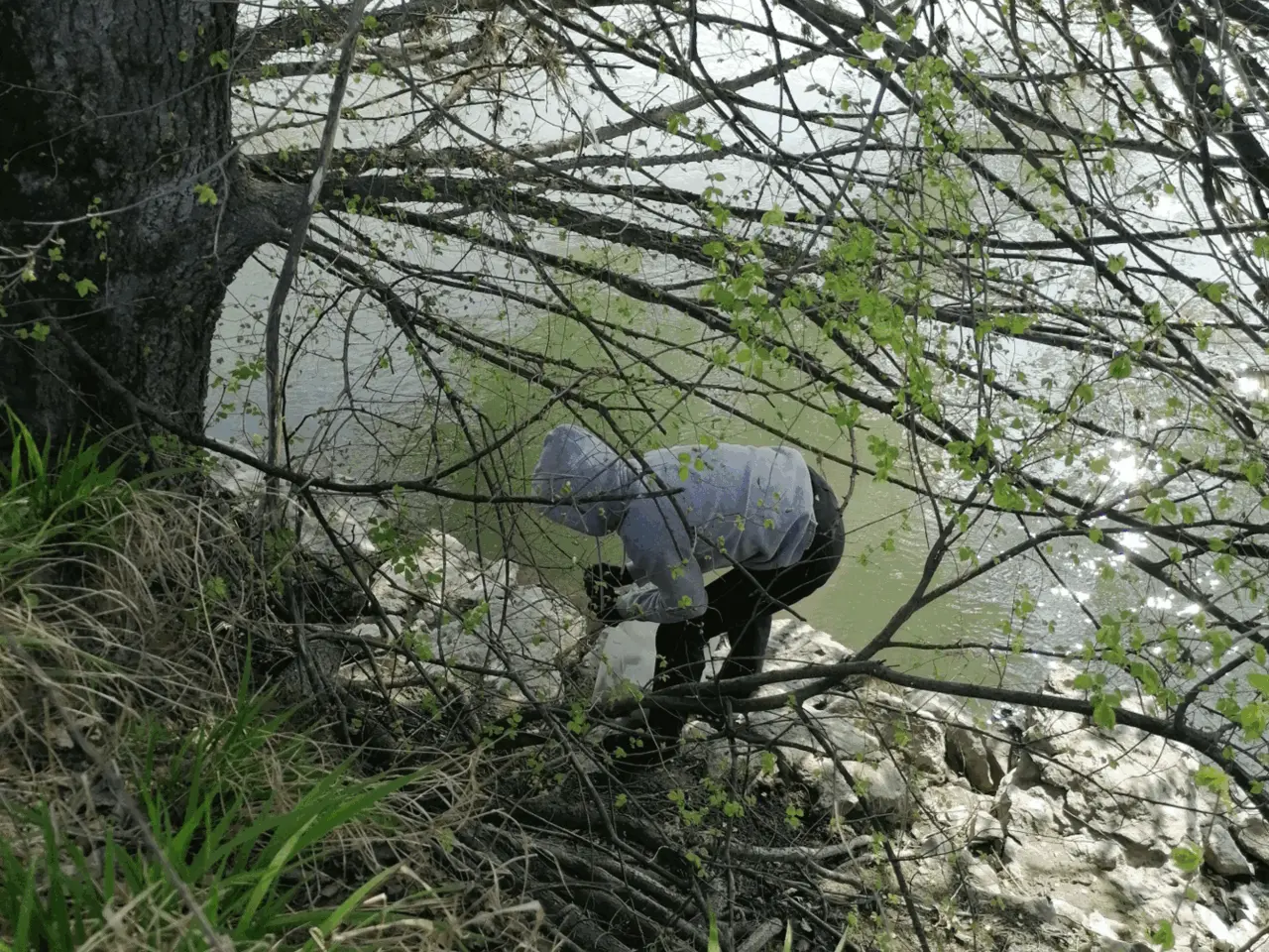 Immagine della giornata