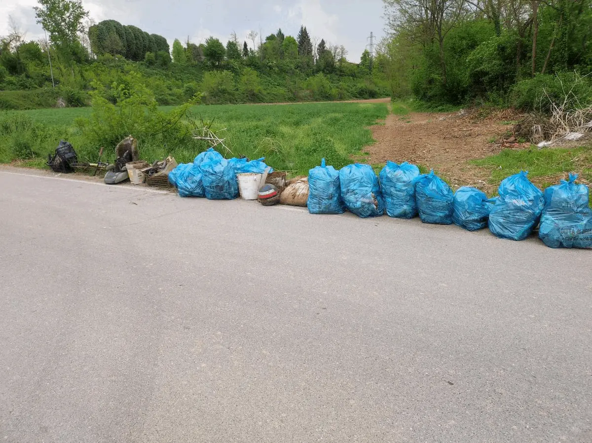 Immagine della giornata