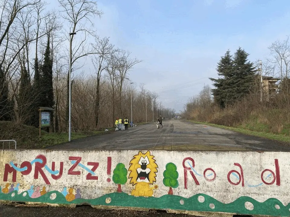Immagine della giornata