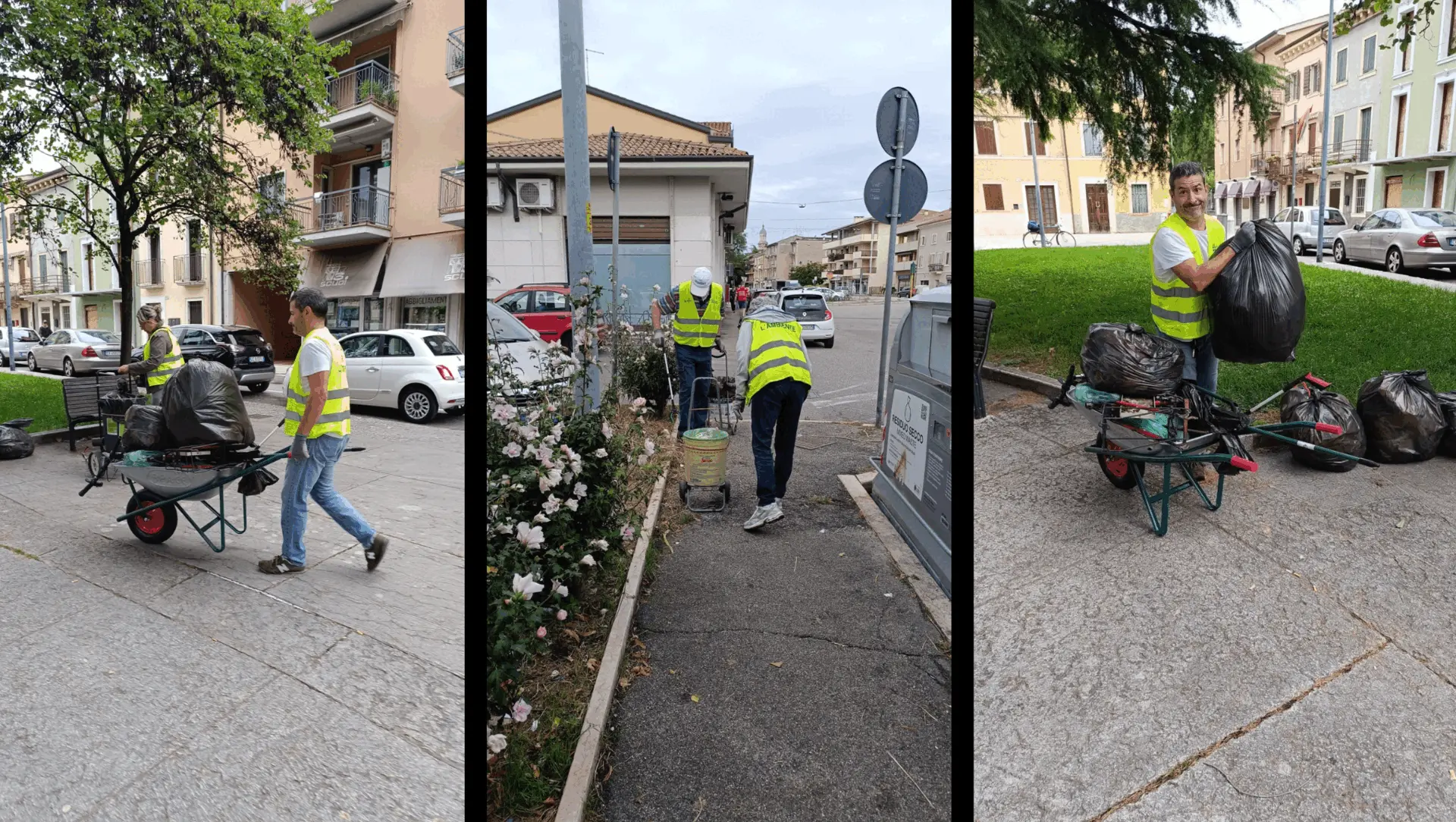 Immagine della giornata