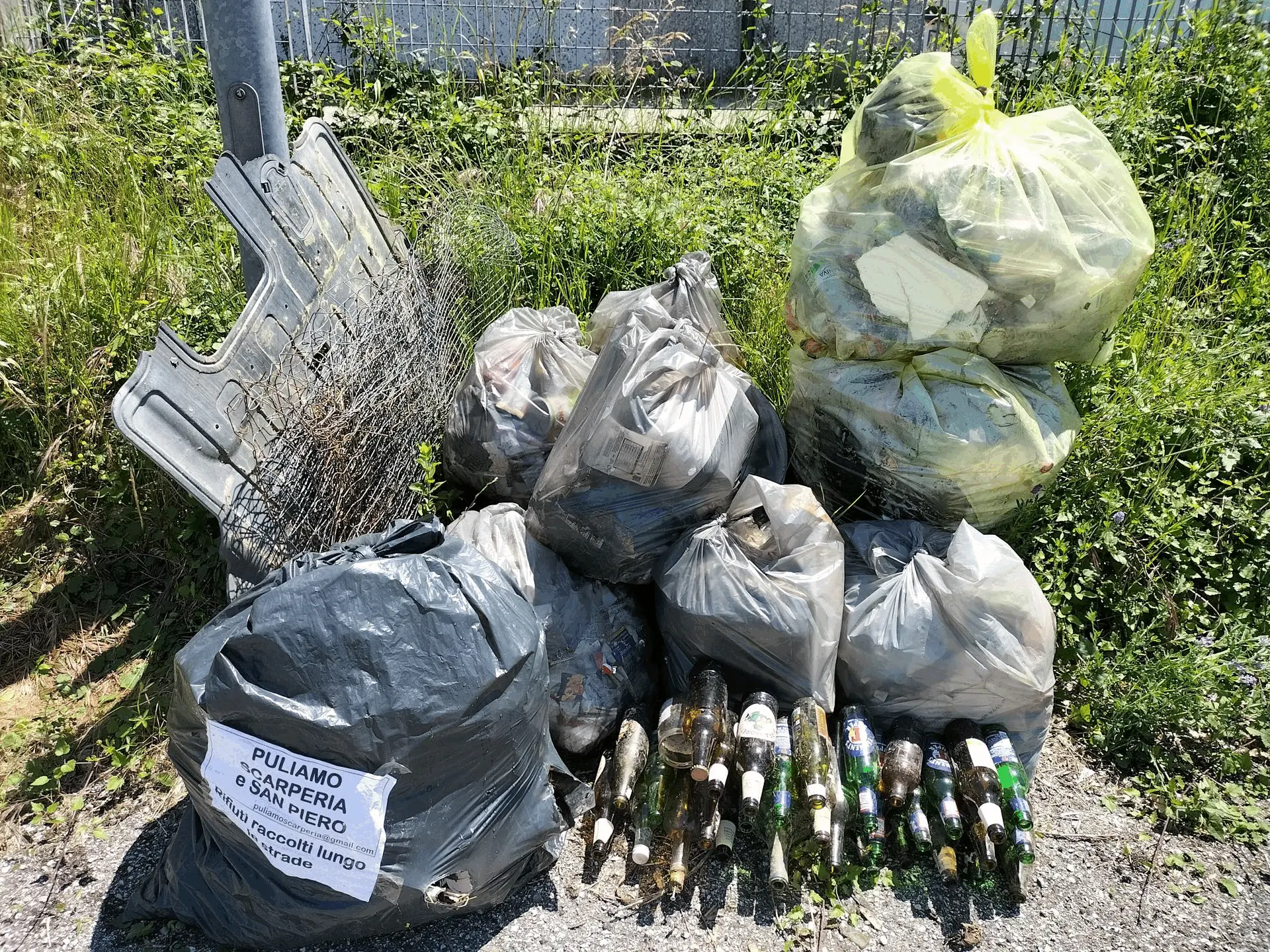 Immagine della giornata
