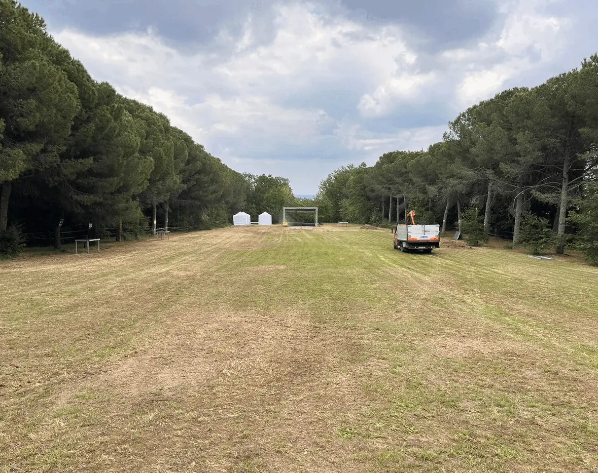 Immagine della giornata