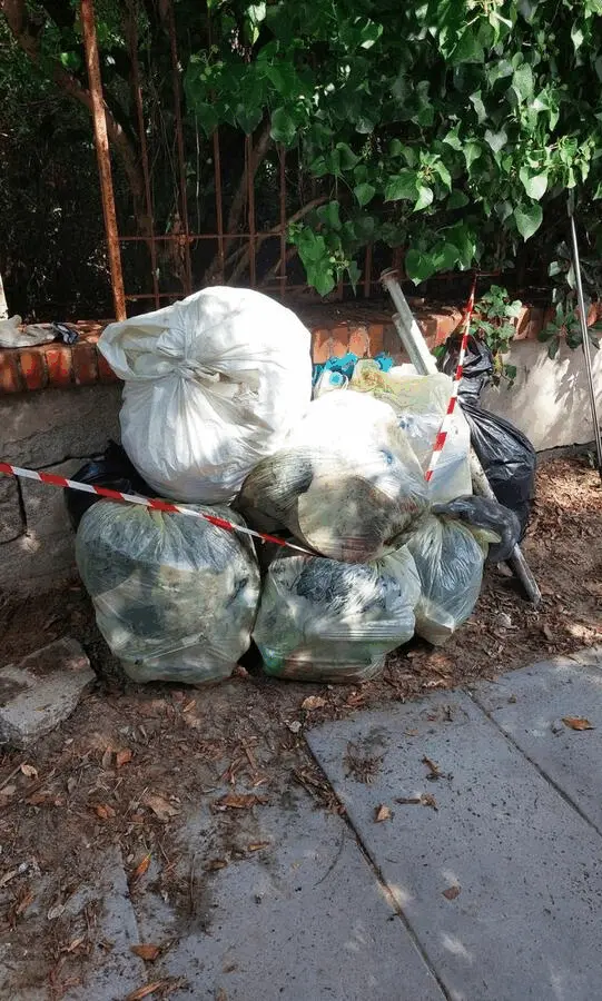 Immagine della giornata