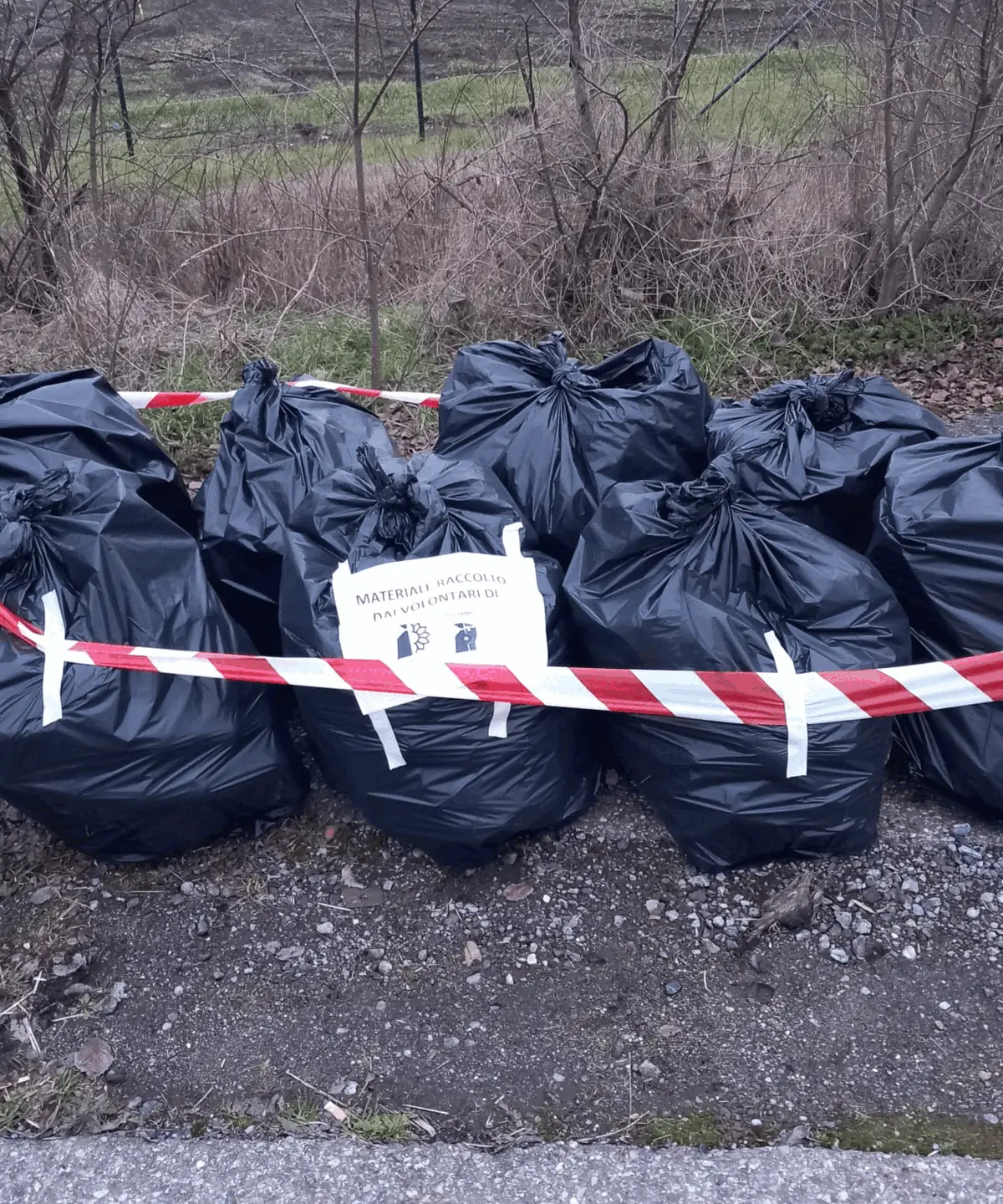 Immagine della giornata