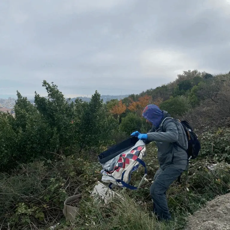 Immagine della giornata