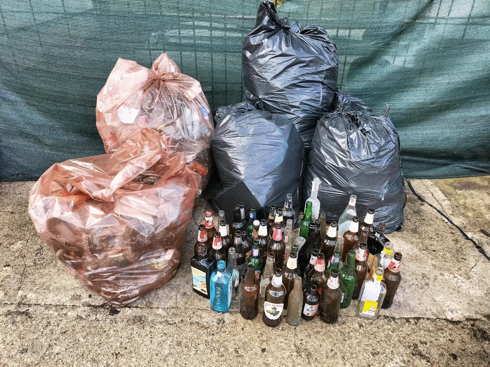 Immagine della giornata