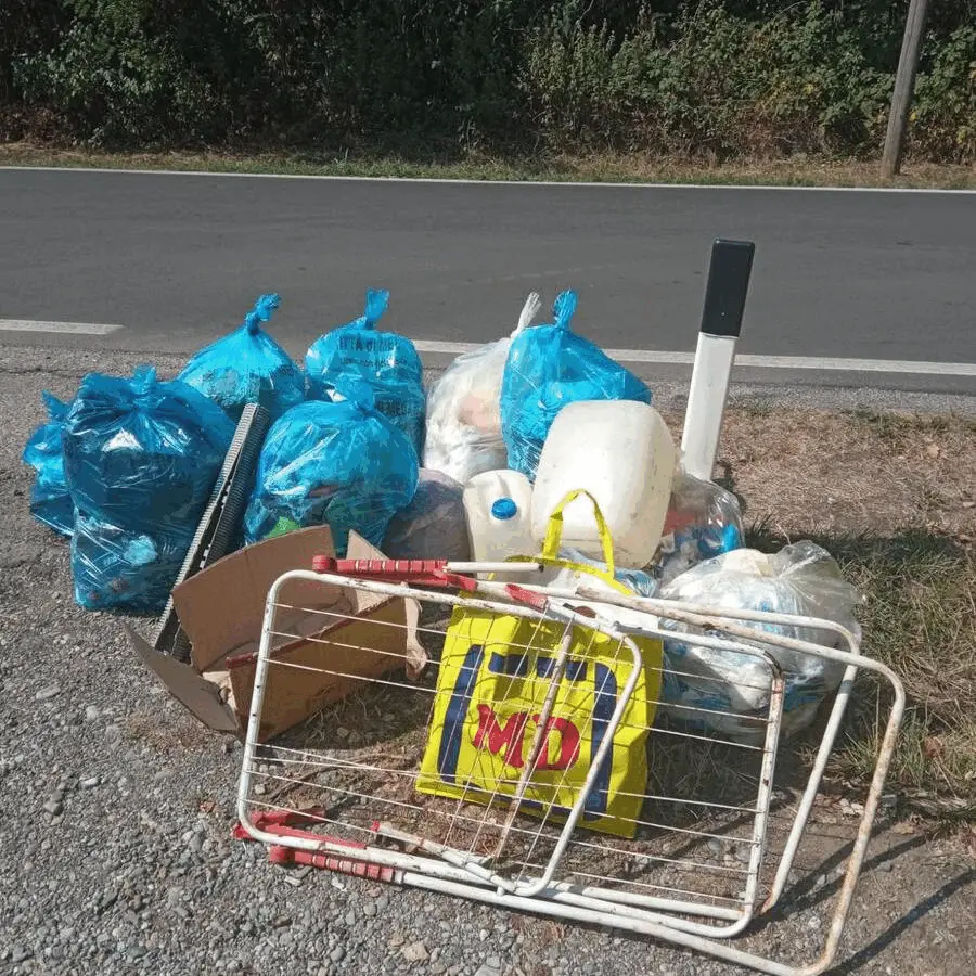 Immagine della giornata