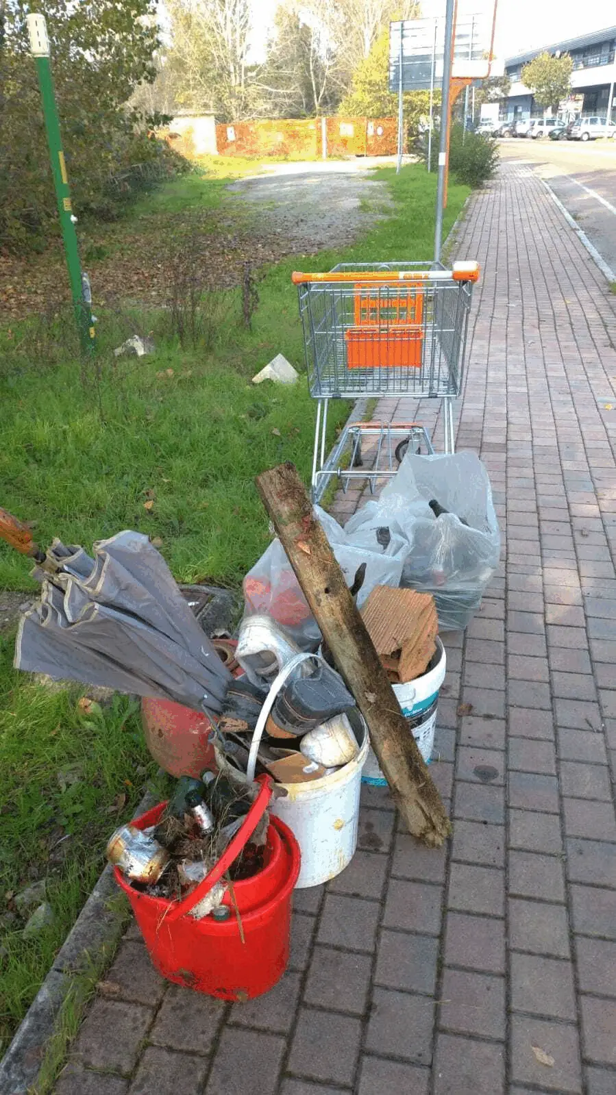 Immagine della giornata