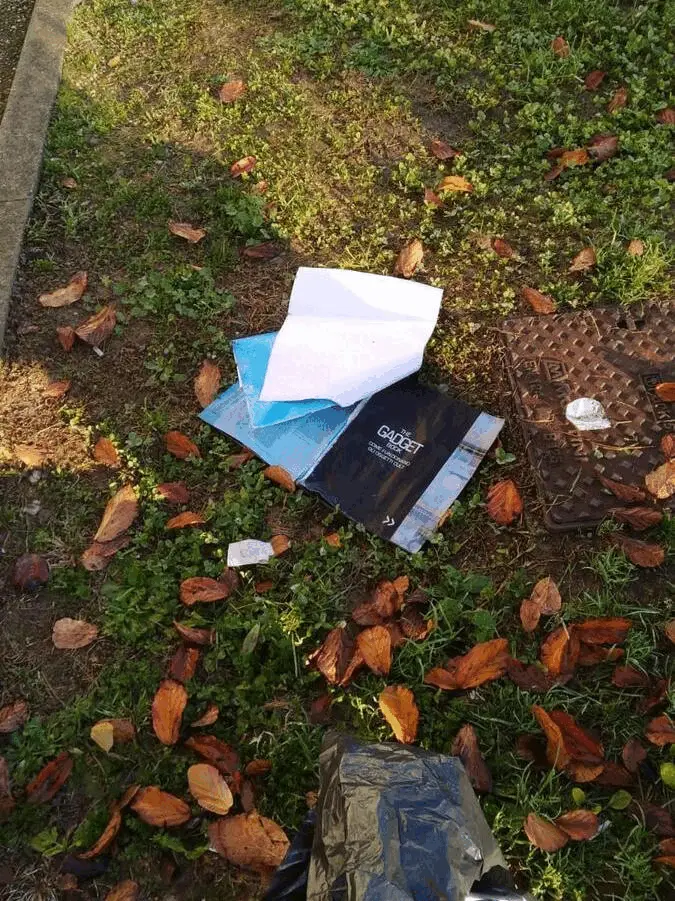 Immagine della giornata