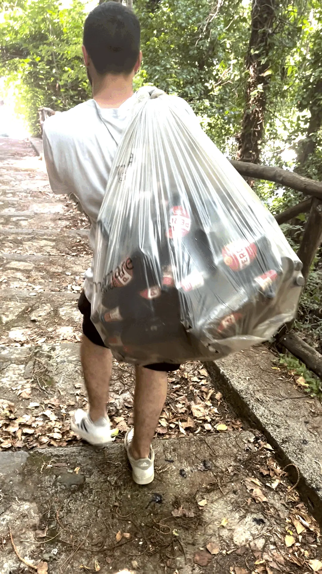 Immagine della giornata