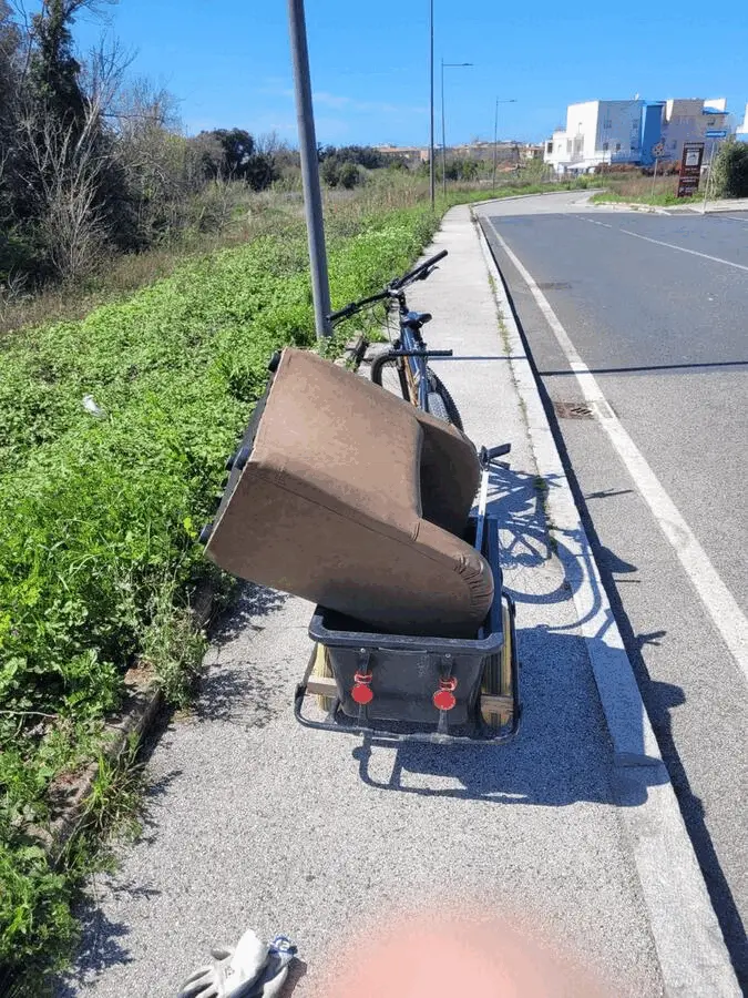 Immagine della giornata
