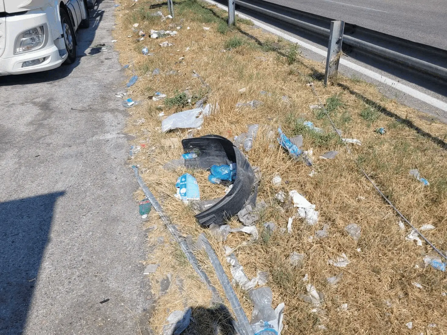 Immagine della giornata