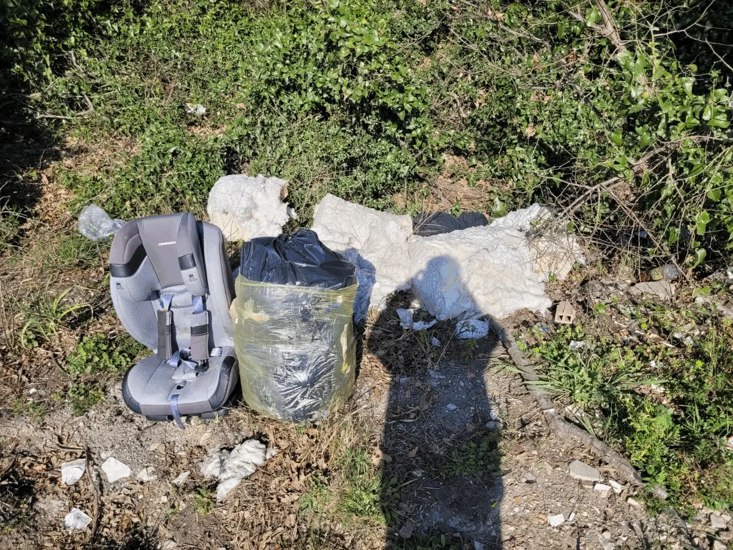 Immagine della giornata