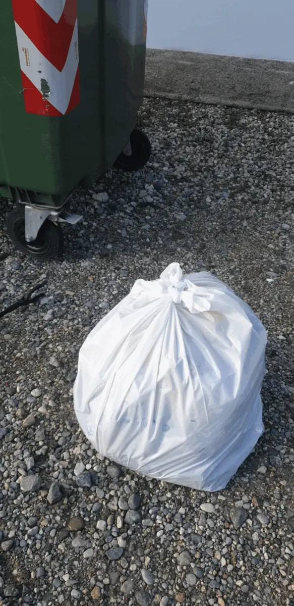 Immagine della giornata