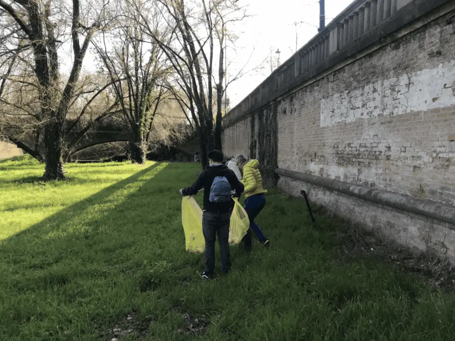 Immagine della giornata