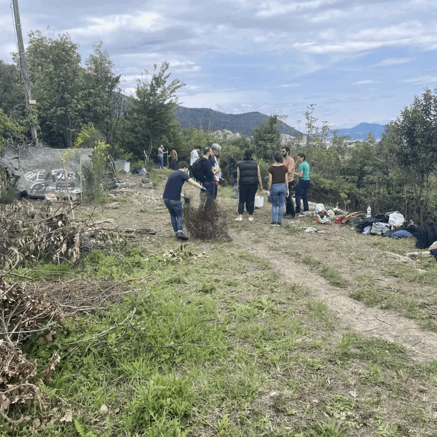 Immagine della giornata