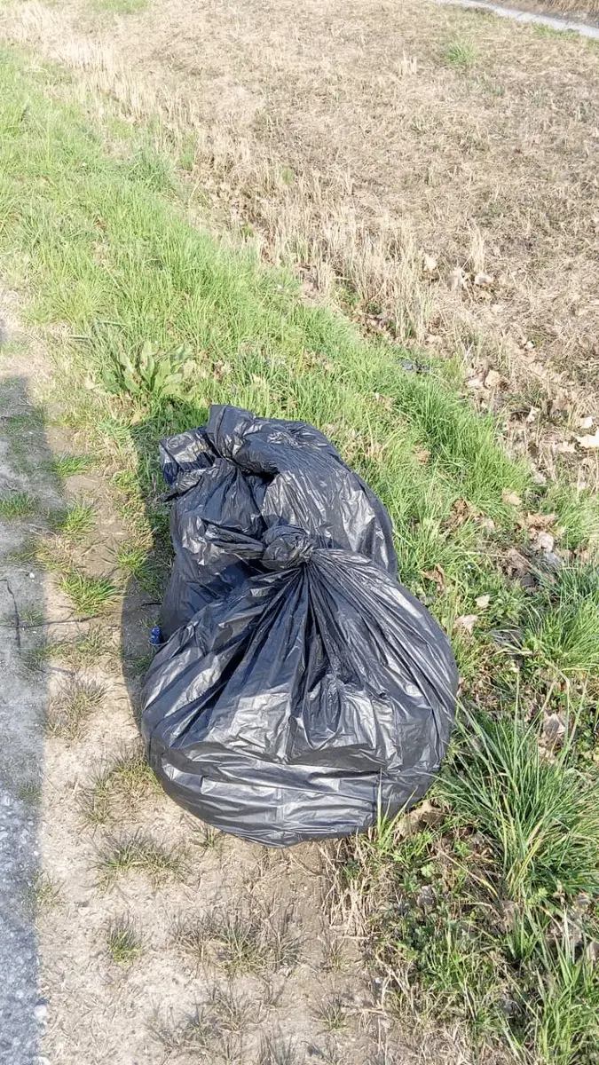 Immagine della giornata