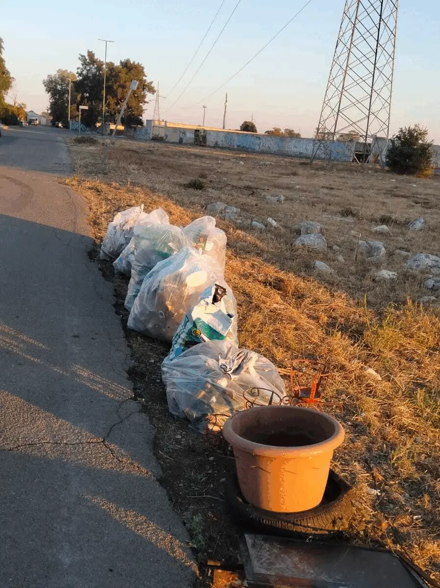 Immagine della giornata