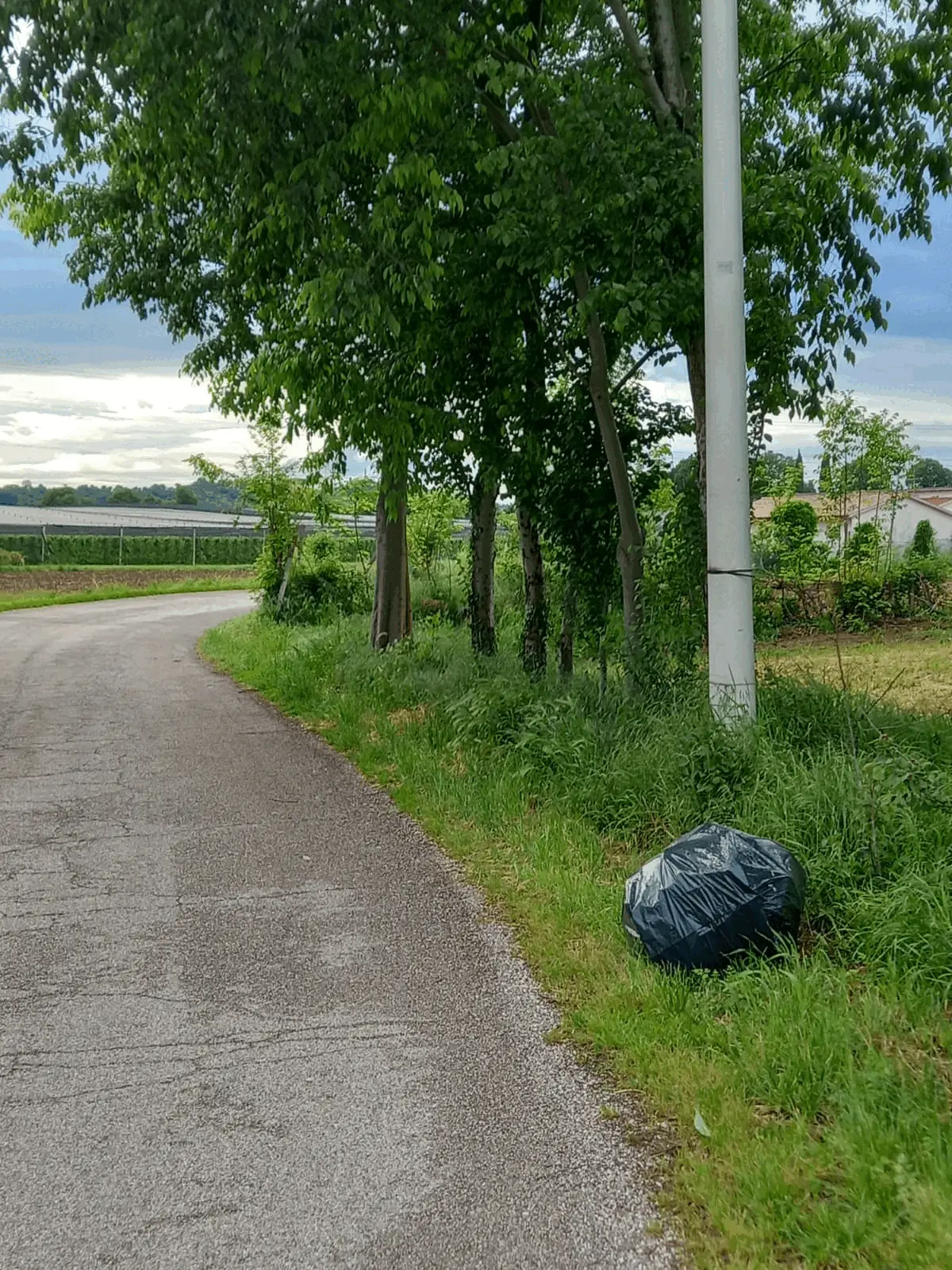 Immagine della giornata