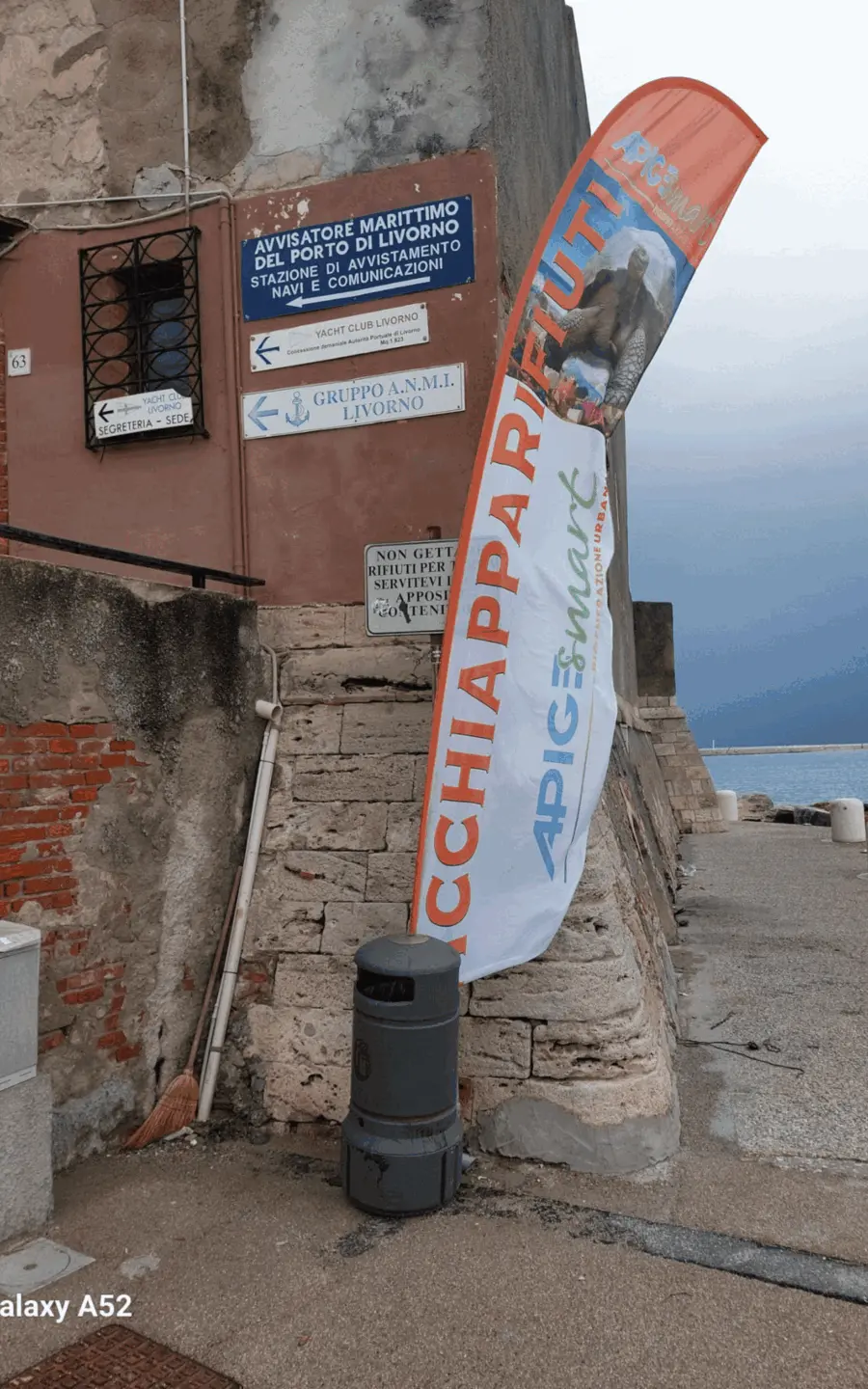 Immagine della giornata