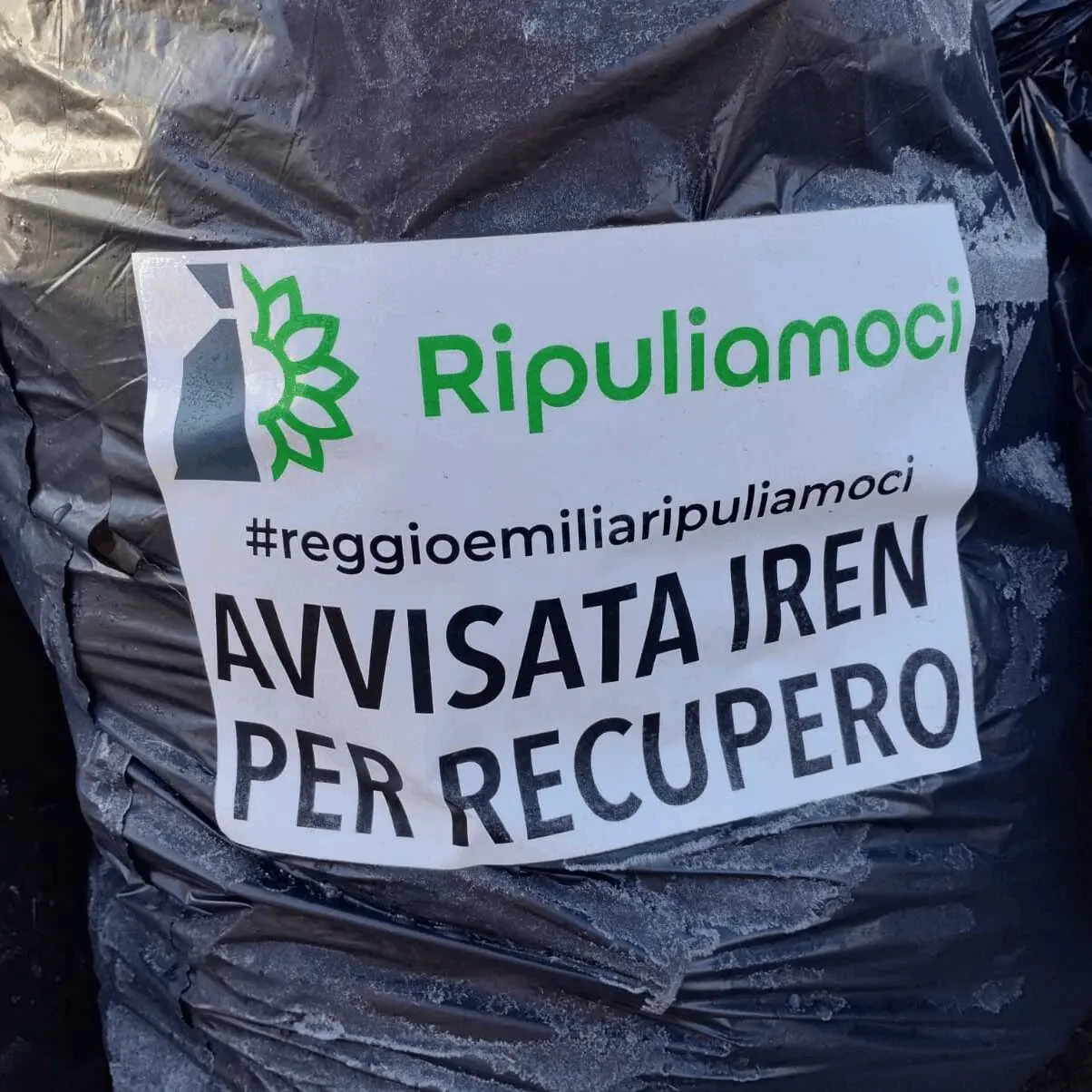 Immagine della giornata